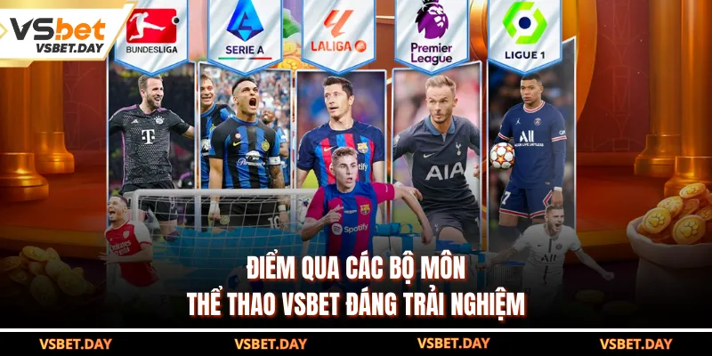 Điểm qua các bộ môn thể thao VSBET đáng trải nghiệm