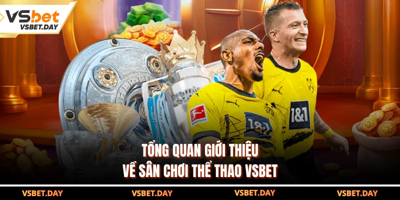 Tổng quan giới thiệu về sân chơi thể thao VSBET